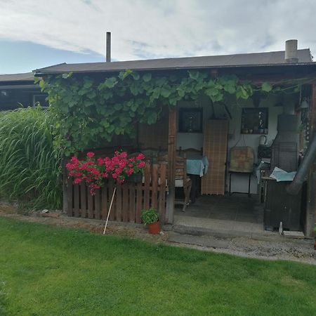 Dvougeneracni Dum Se Zahradou Lejlighed Vimperk Eksteriør billede